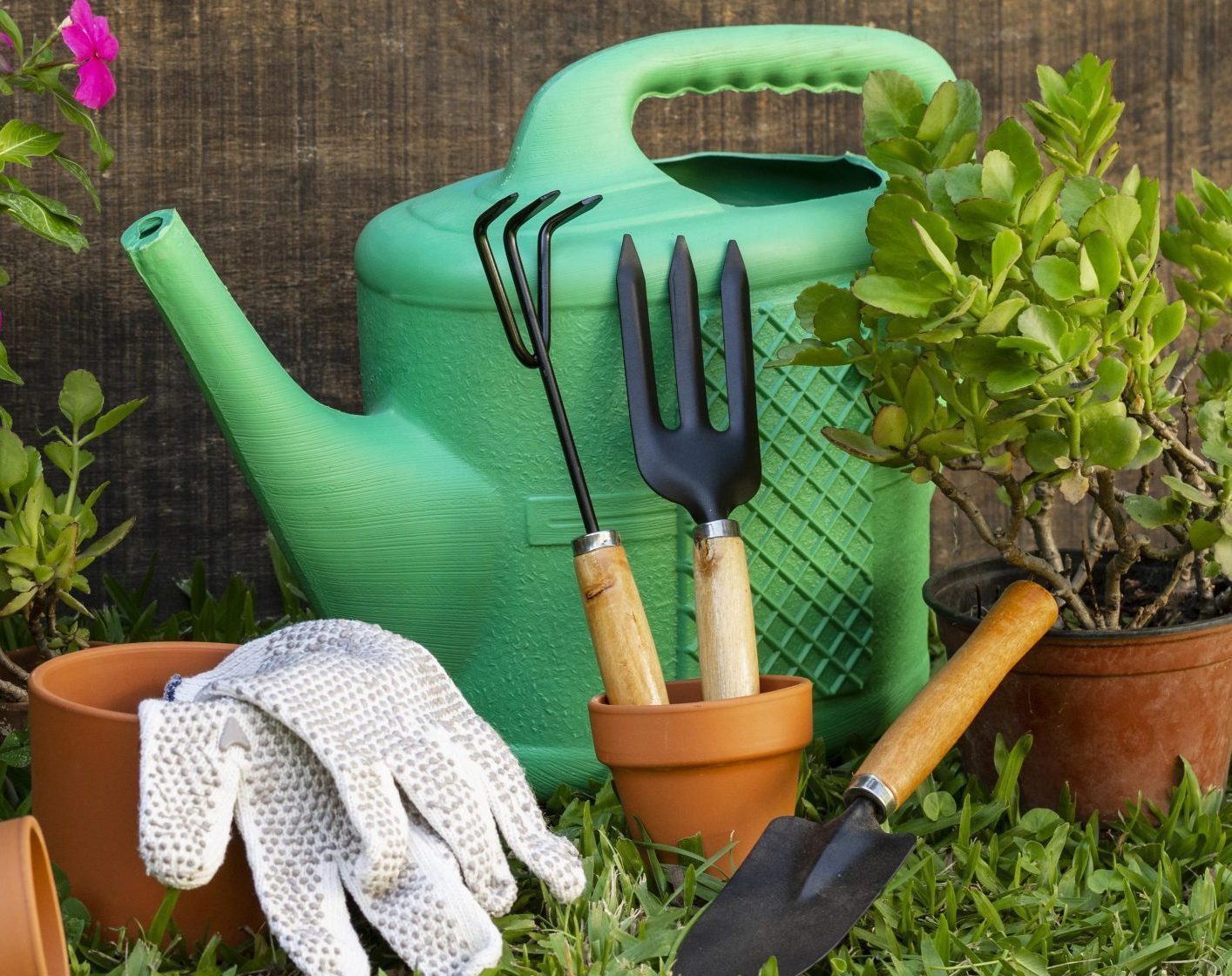Jardinagem e Irrigação